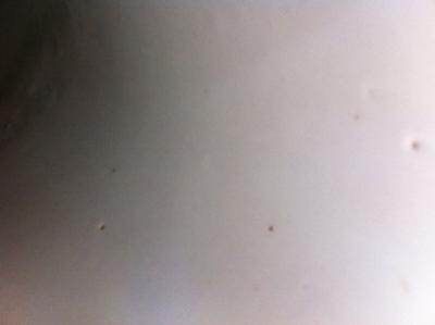 Vase glaze contractions
