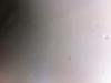 Vase glaze contractions