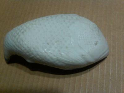 bottom of fish dish